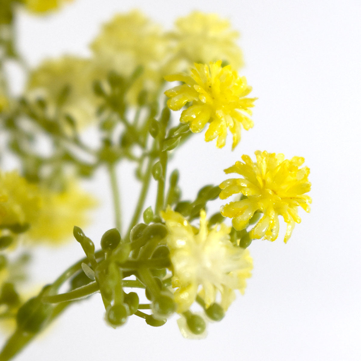 Vara Larga de Gypsophila Artificial Amarillo JHPQ65