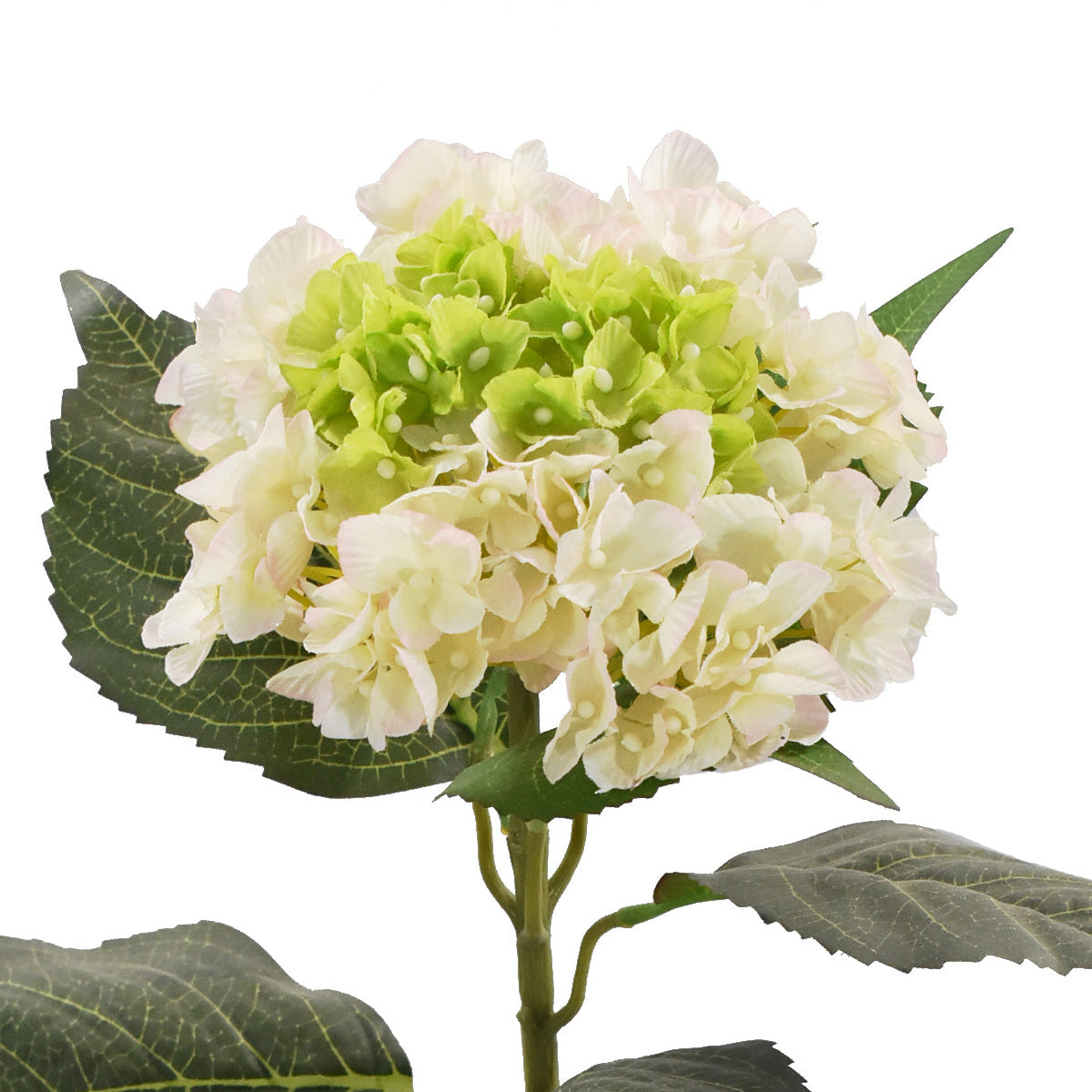 Vara de Hortensia Artificial Biege H0150813