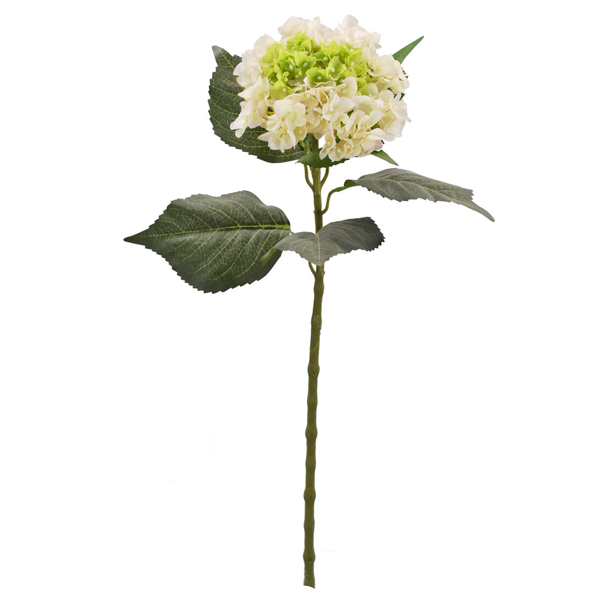 Vara de Hortensia Artificial Biege H0150813