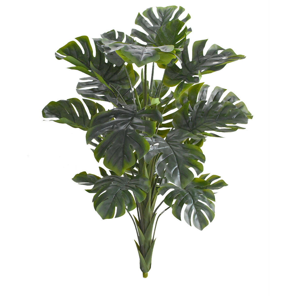 Paquete 2 pz Planta Monstera Artificial 1.70 mts Y202202 sin maceta