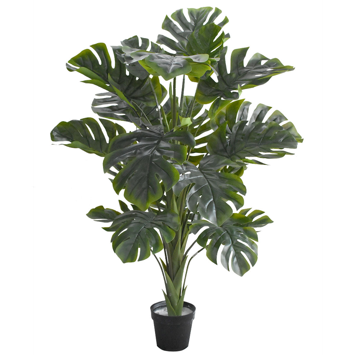 Paquete 2 pz Planta Monstera Artificial 1.70 mts Y202202 sin maceta