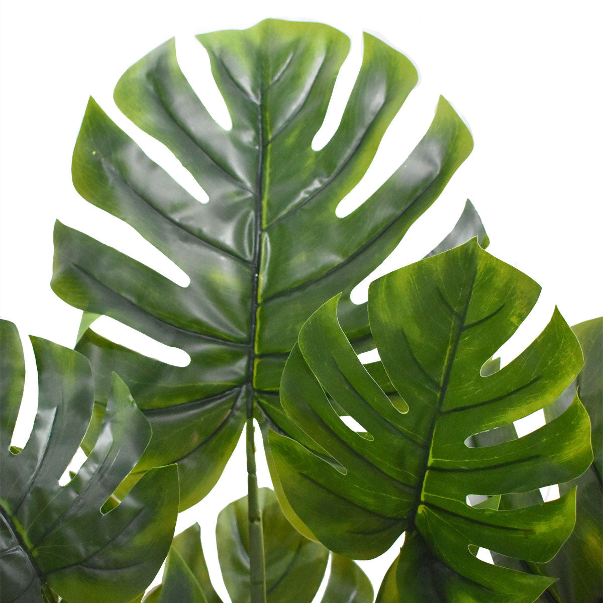 Paquete 2 pz Planta Monstera Artificial 1.70 mts Y202202 sin maceta