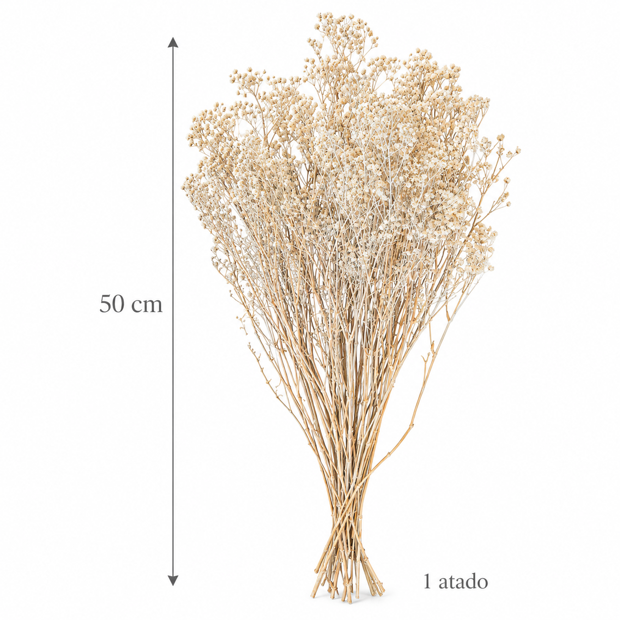 Atado Gypsophila Baby Naturaleza Seca Blanco ER002