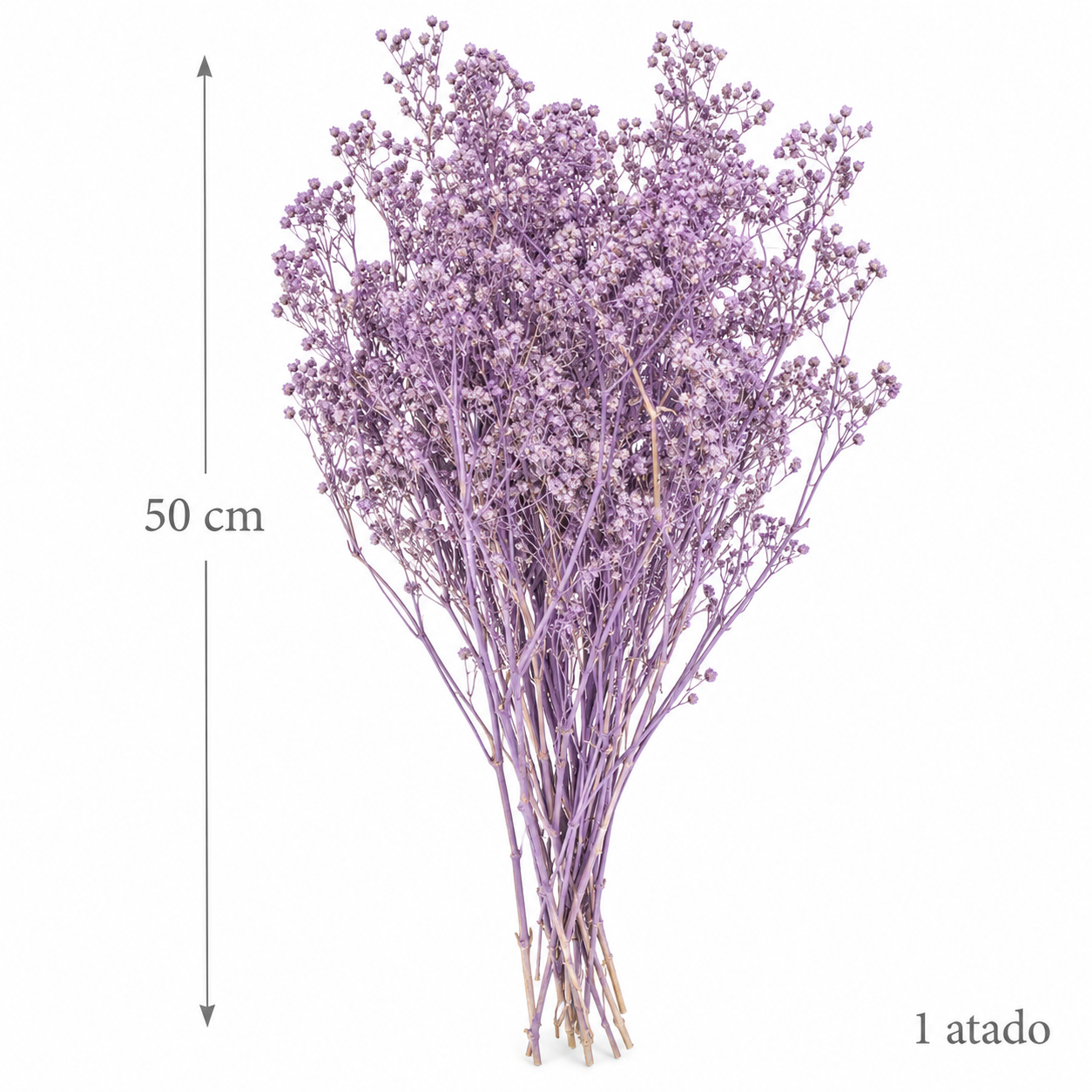 Atado Gypsophila Baby Naturaleza Seca Lila ER002
