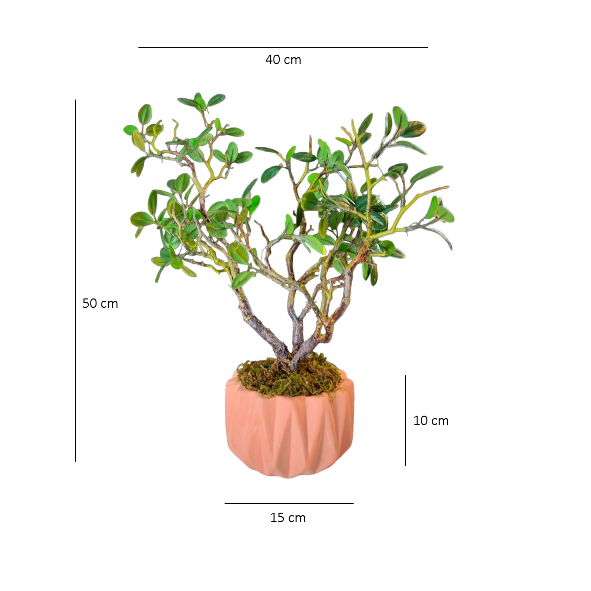 Bonsai Artificial Flor de Cerezo – Blumart