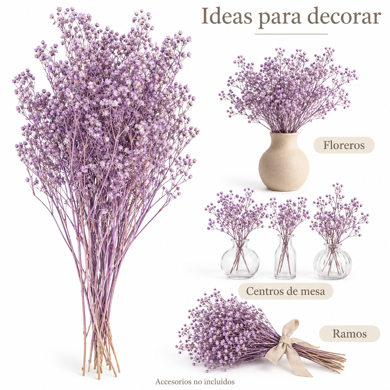 Atado Gypsophila Baby Naturaleza Seca Lila ER002