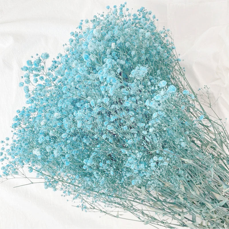 Atado Gypsophila Baby Naturaleza Seca Azul ER002