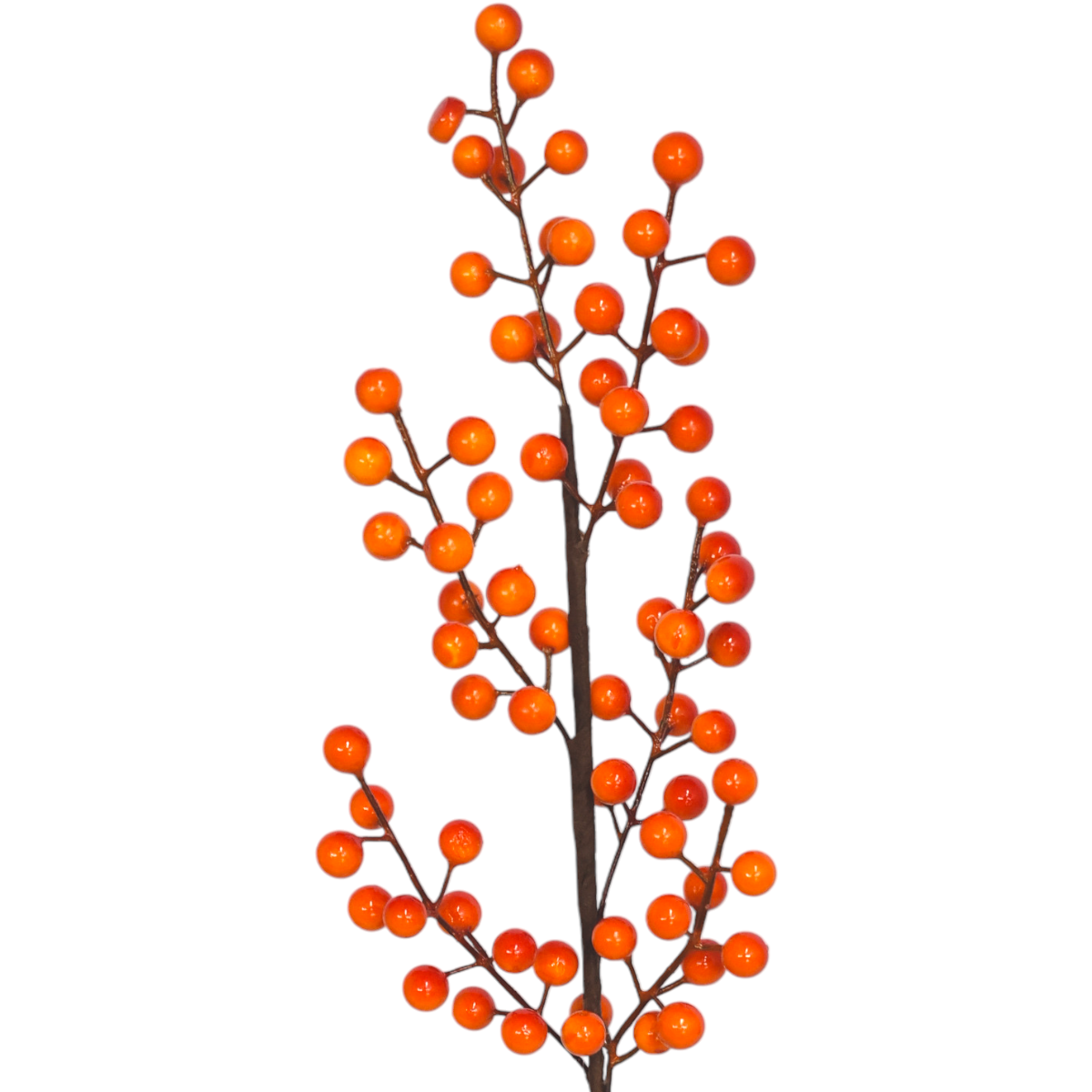 Vara Otoñal De Berries SZ3517536
