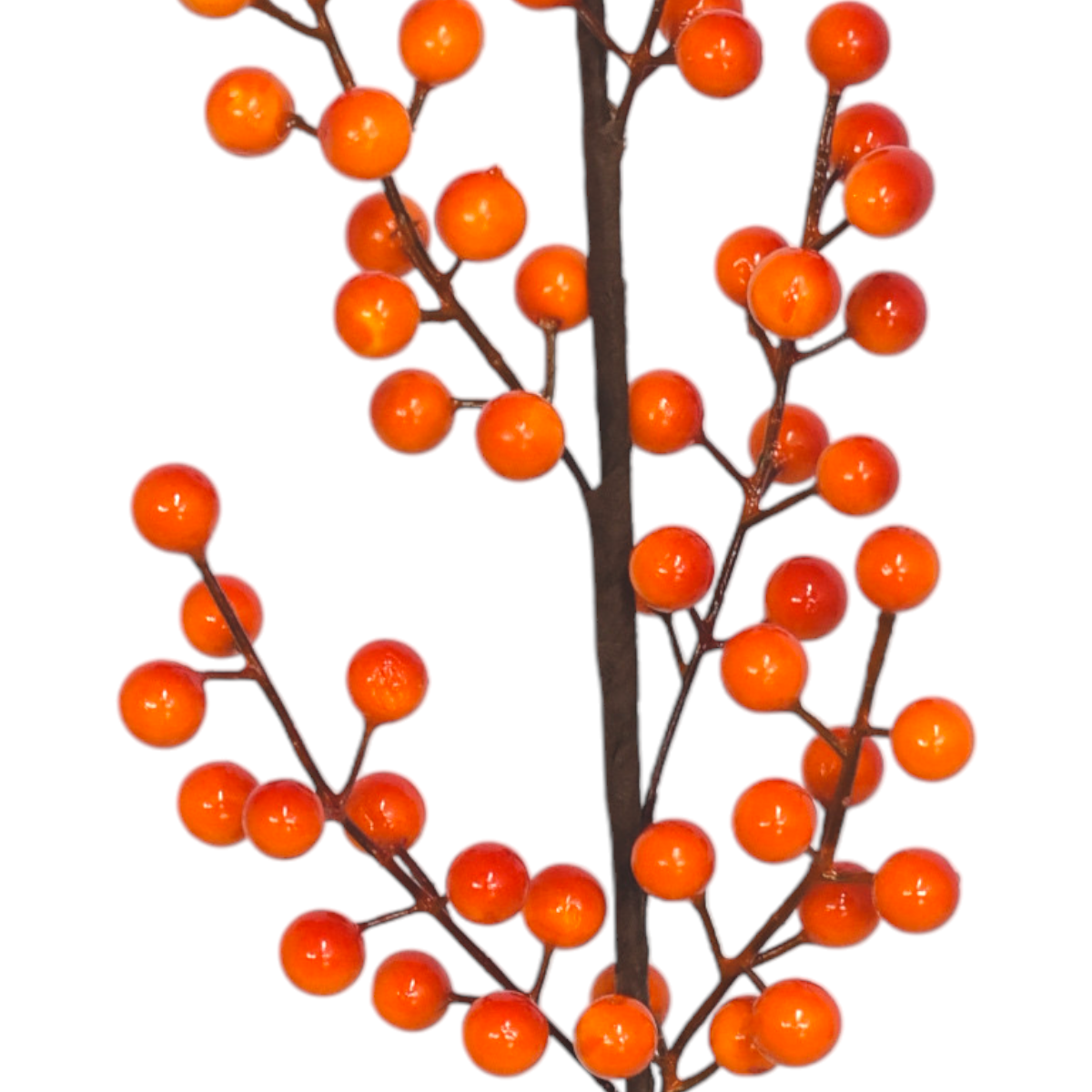 Vara Otoñal De Berries SZ3517536