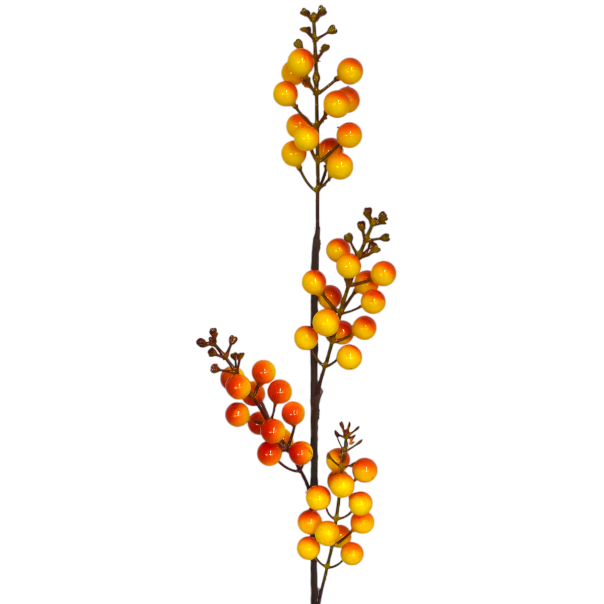 Vara Otoñal De Berries SZ3517543