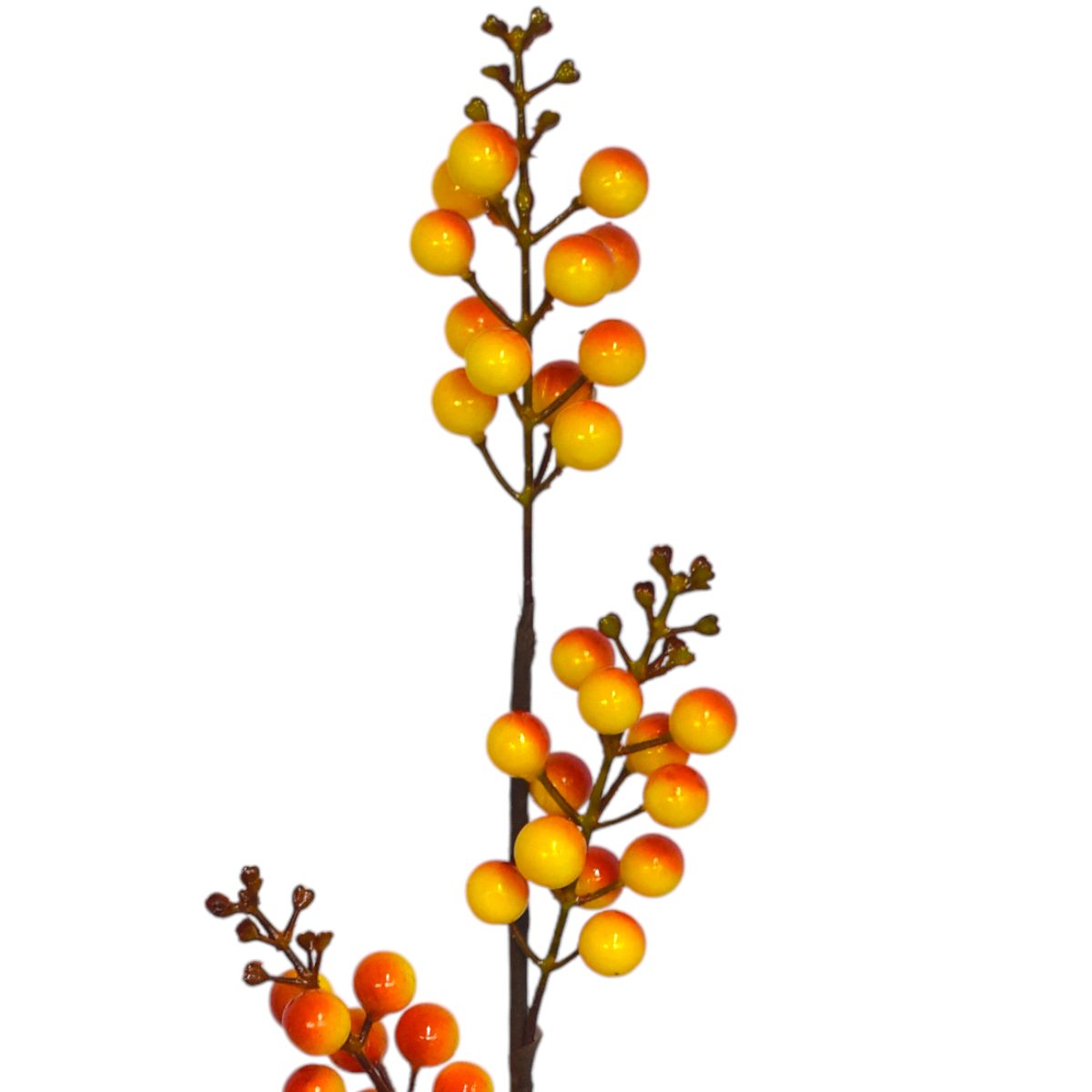 Vara Otoñal De Berries SZ3517543