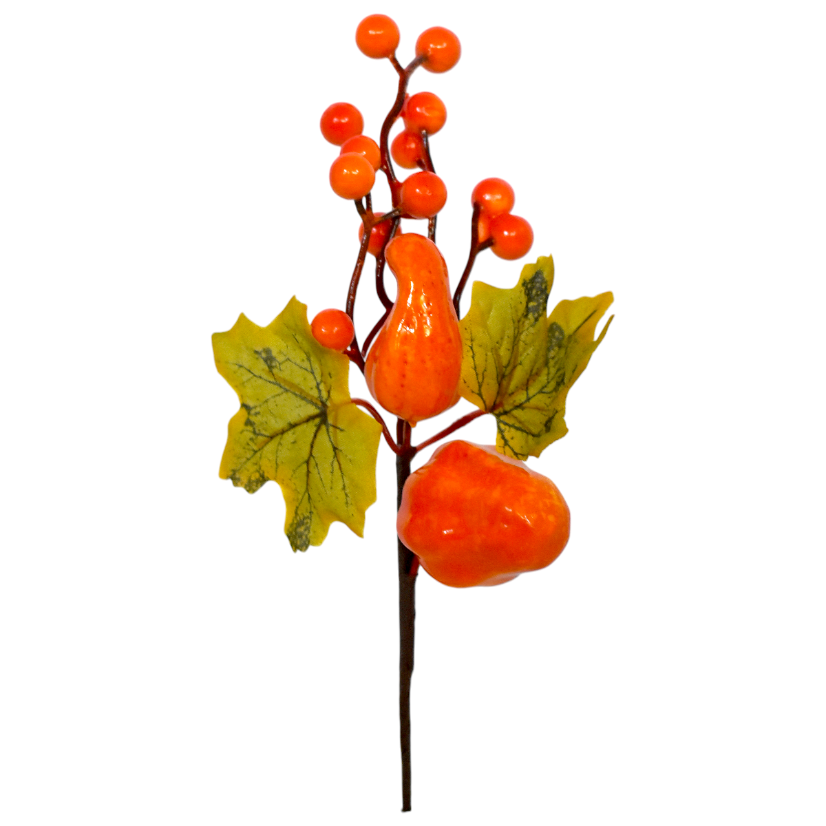 Pick Otoñal de Calabazas y Hojas SZ5861477