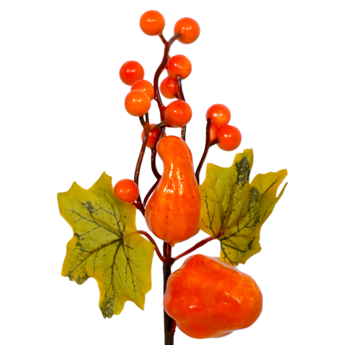 Pick Otoñal de Calabazas y Hojas SZ5861477