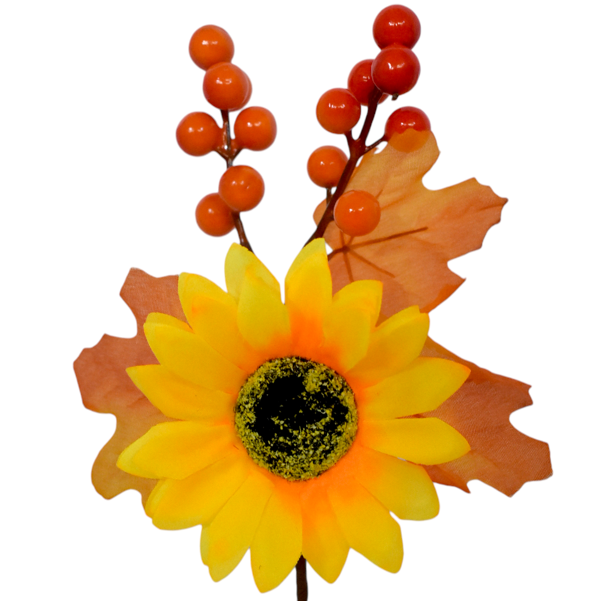 Pick Otoñal De Girasol y Berries SZ5861514