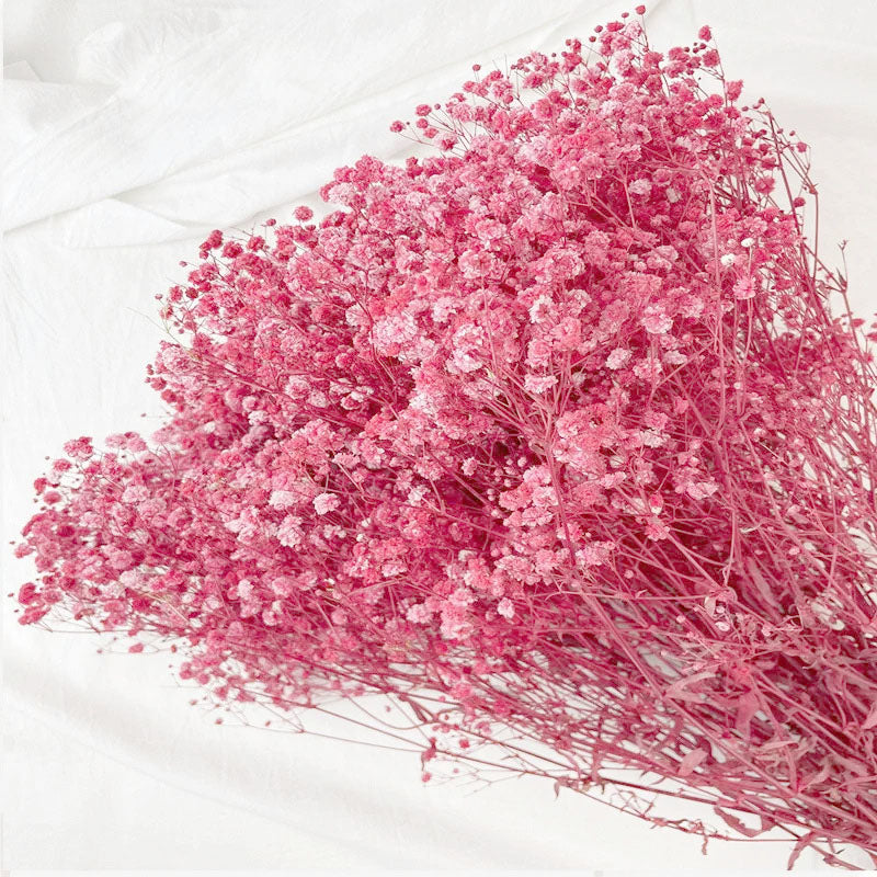 Atado Gypsophila Baby Naturaleza Seca Rosa ER002