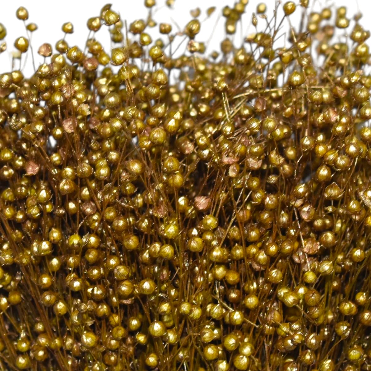 Ramo Lino Seco Dorado Perlillas 50cm 320010DO