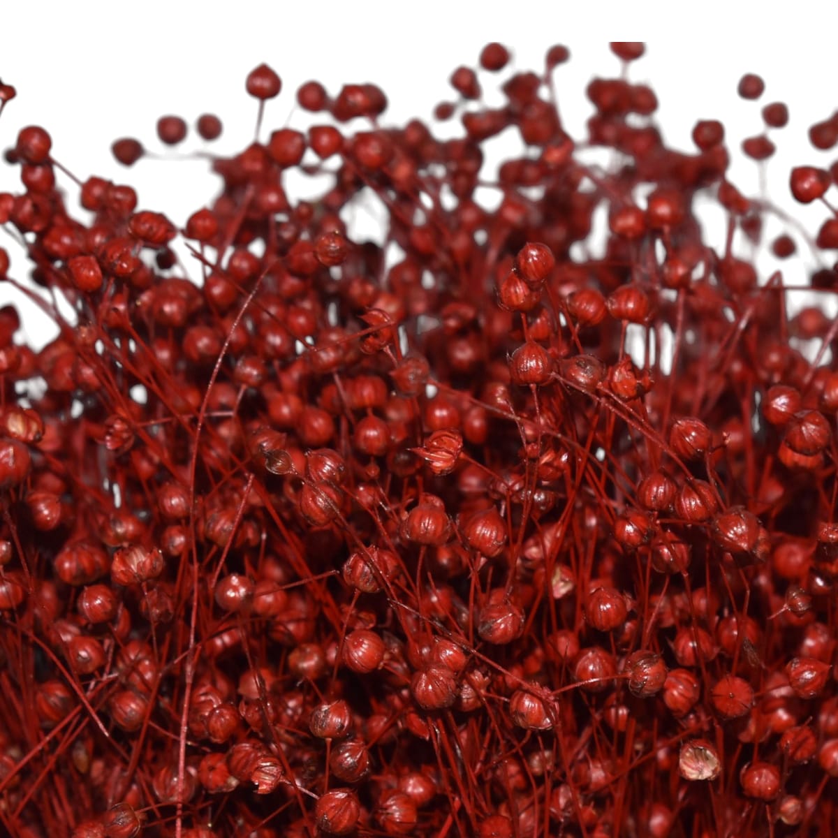 Ramo Lino Seco Rojo Perlillas 50cm 320010RJ