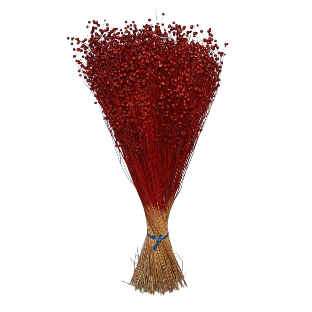 Ramo Lino Seco Rojo Perlillas 50cm 320010RJ