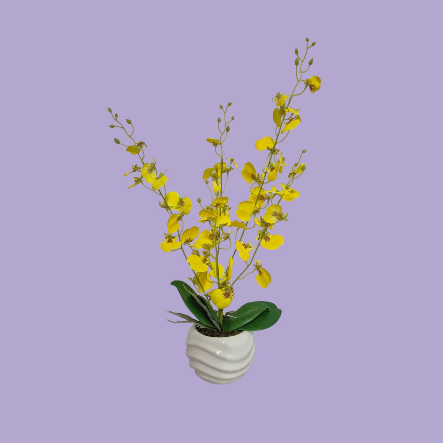 Arreglo Floral de Orquídeas Bailarina Artificiales Amarillo Maceta Blanco
