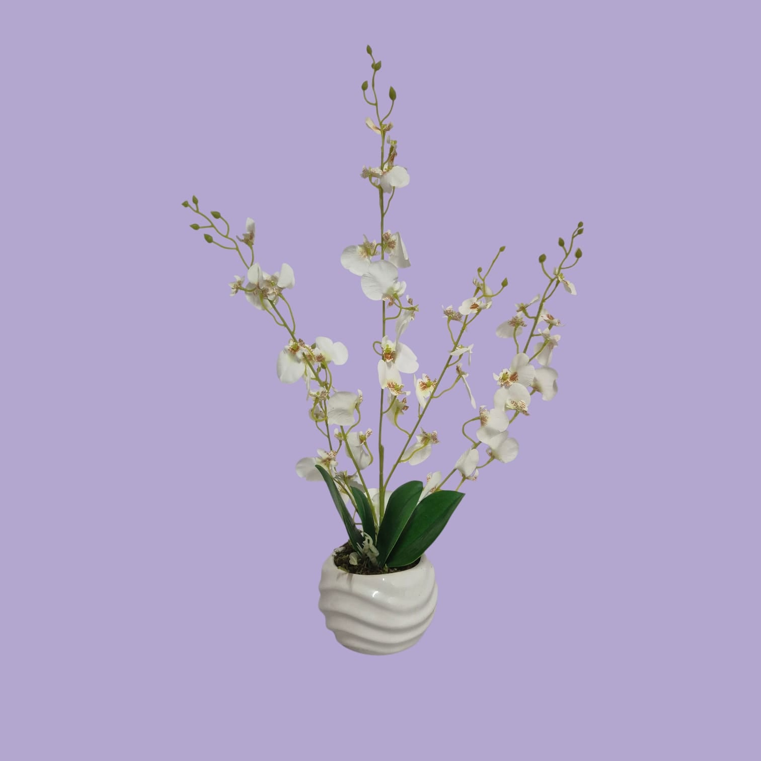 Arreglo Floral de Orquídeas Bailarina Artificiales Blanco Maceta Blanco