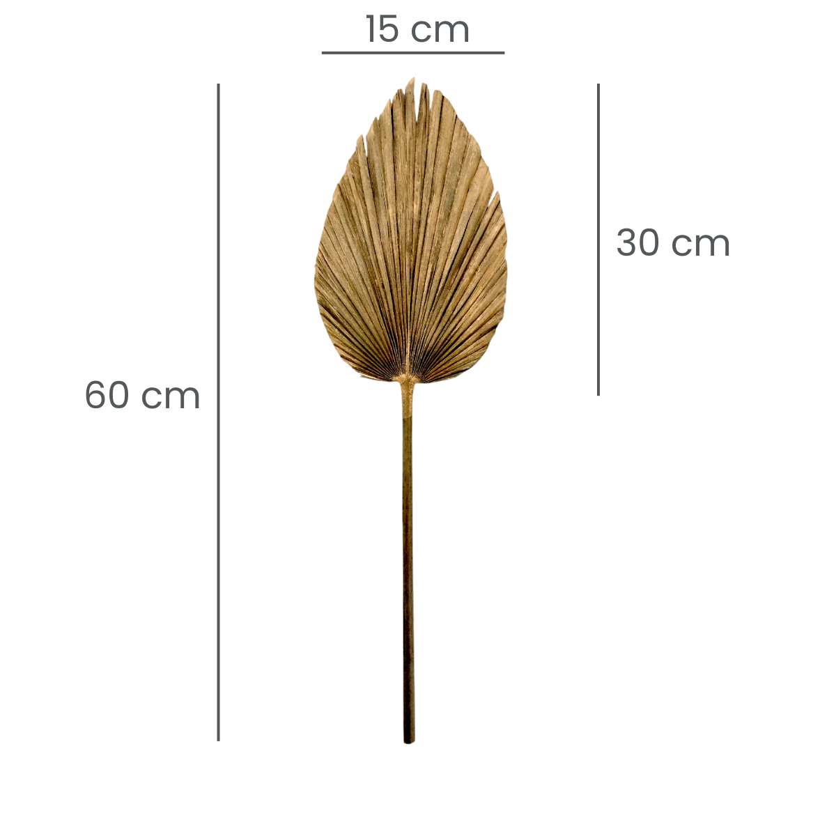 Palmas Abanico en Flecha Dorado Pack 4 pz 320012
