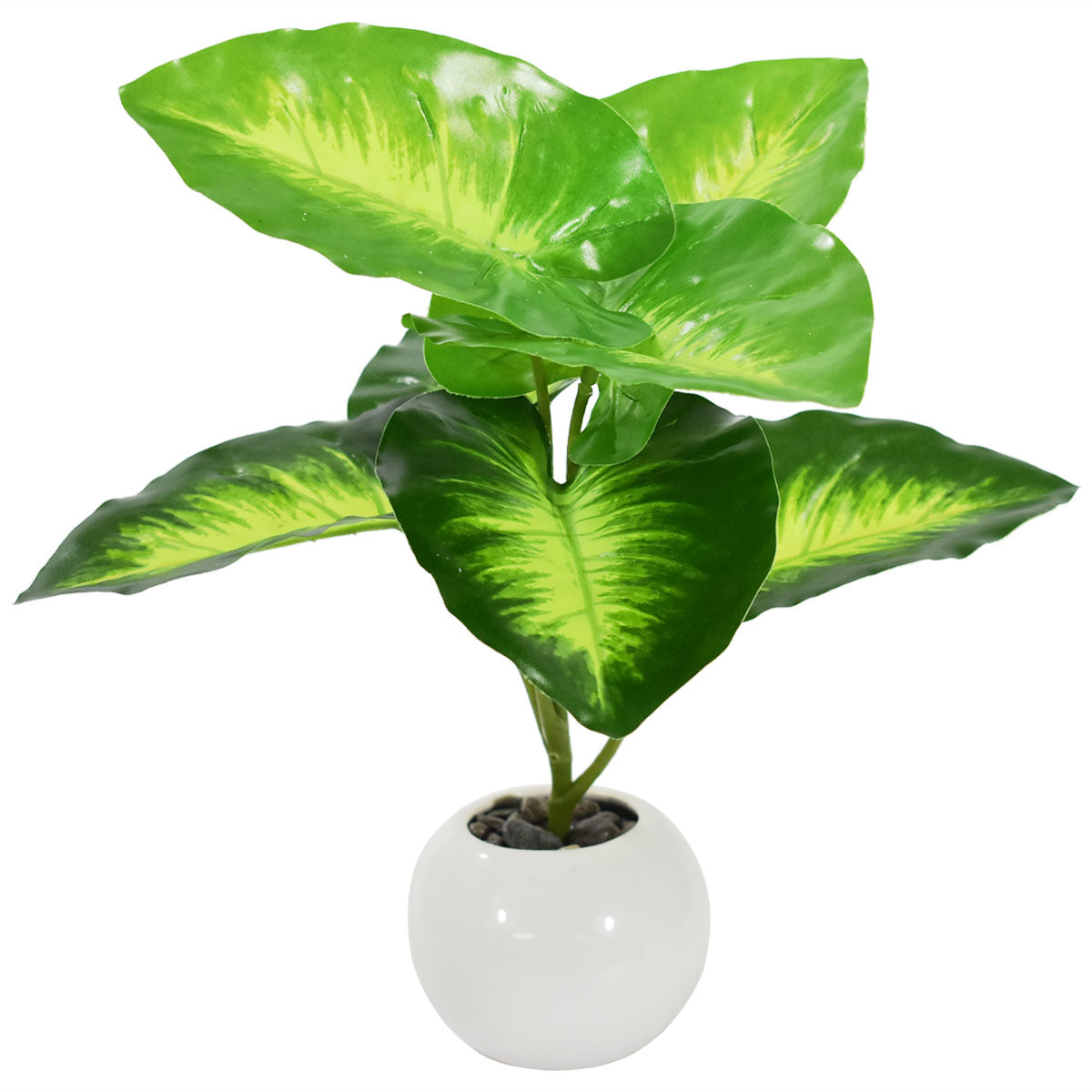 Planta Diffenbachia Artificial AR813