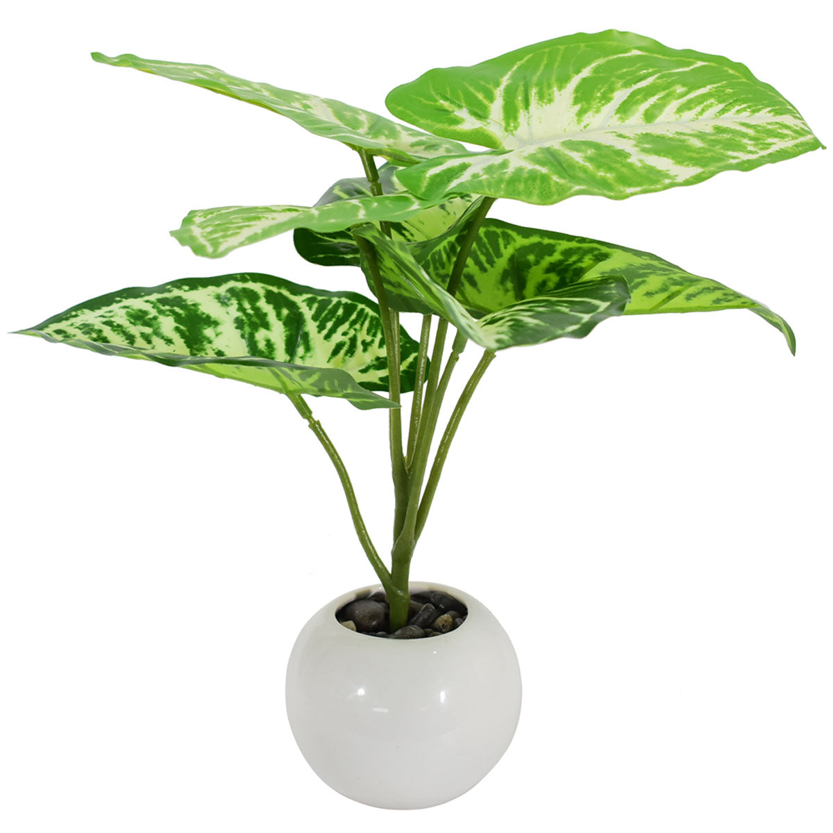 Planta Singonium Artificial AR815