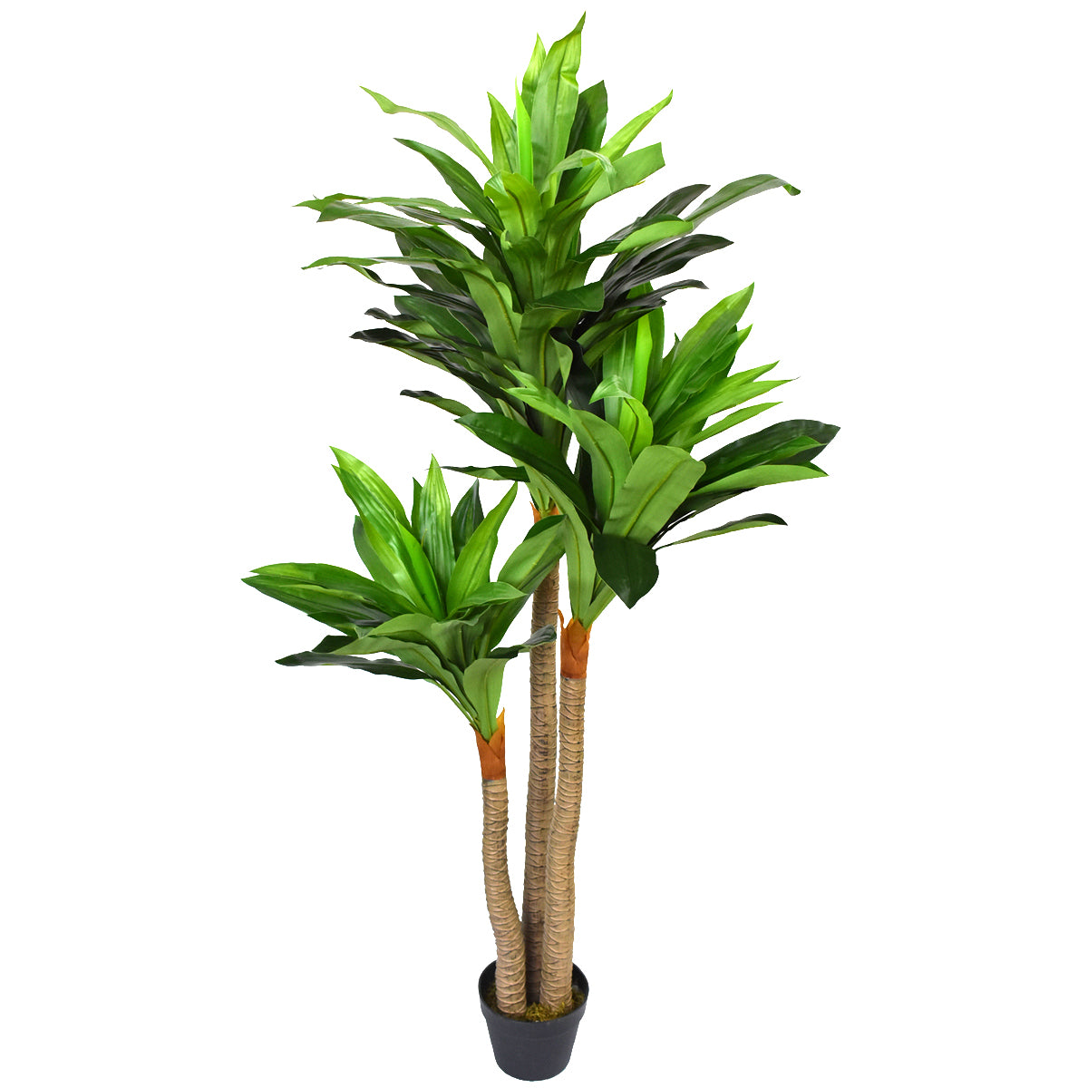 Planta Palo De Brasil Artificial con Maceta FC071