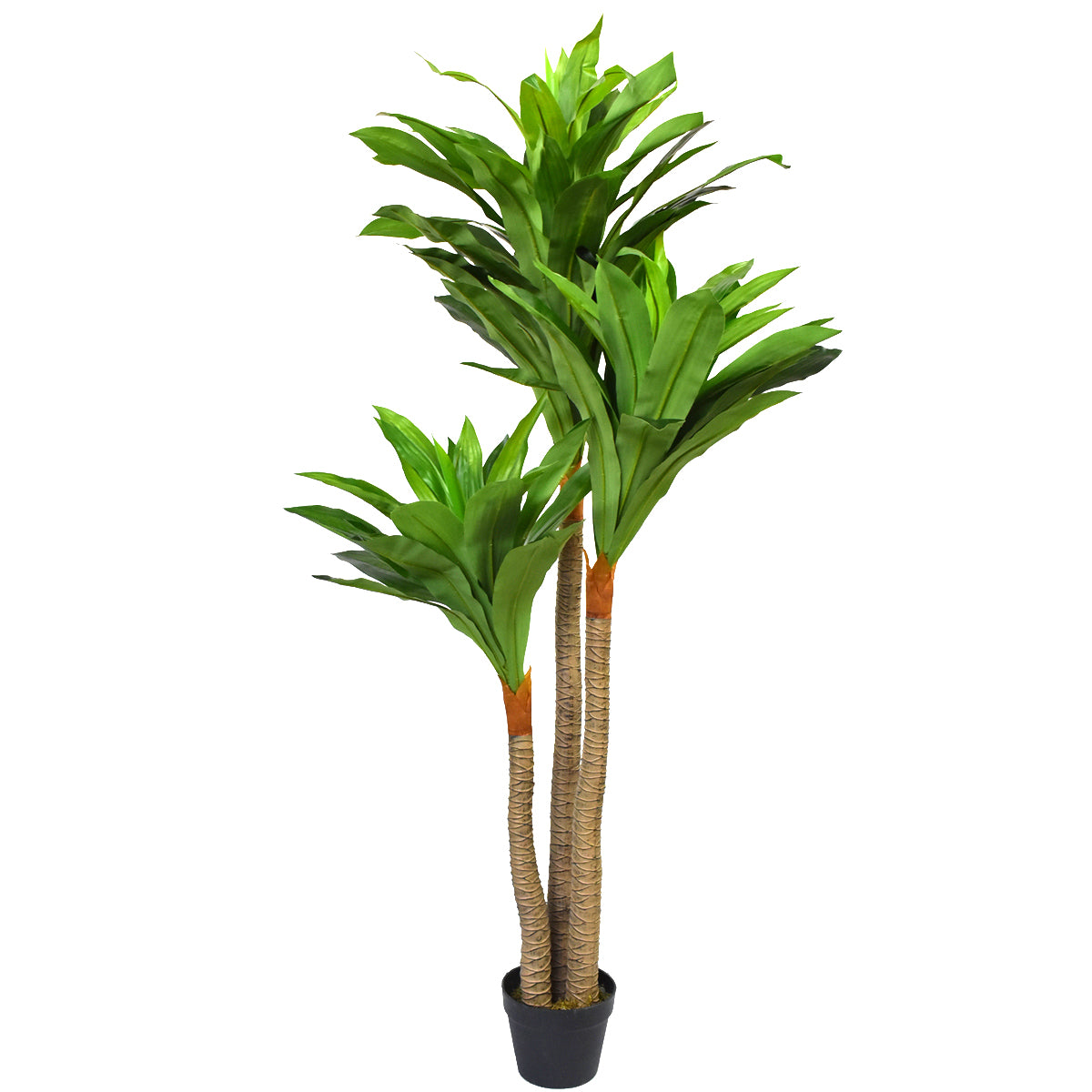 Planta Palo De Brasil Artificial con Maceta FC071