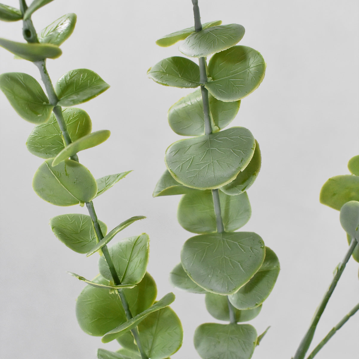 Vara Eucalipto Artificial Tipo Dolar FC965