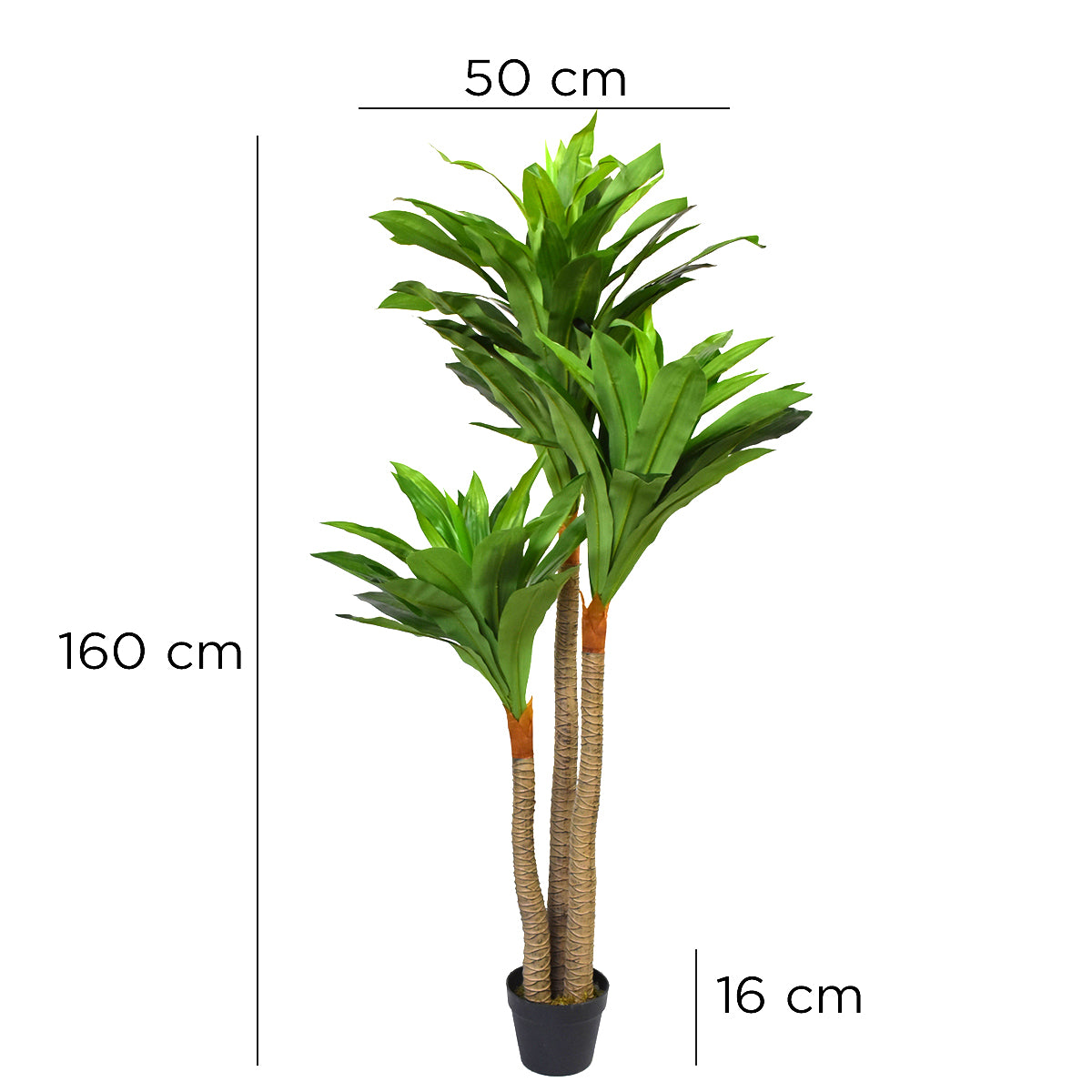 Planta Palo De Brasil Artificial con Maceta FC071